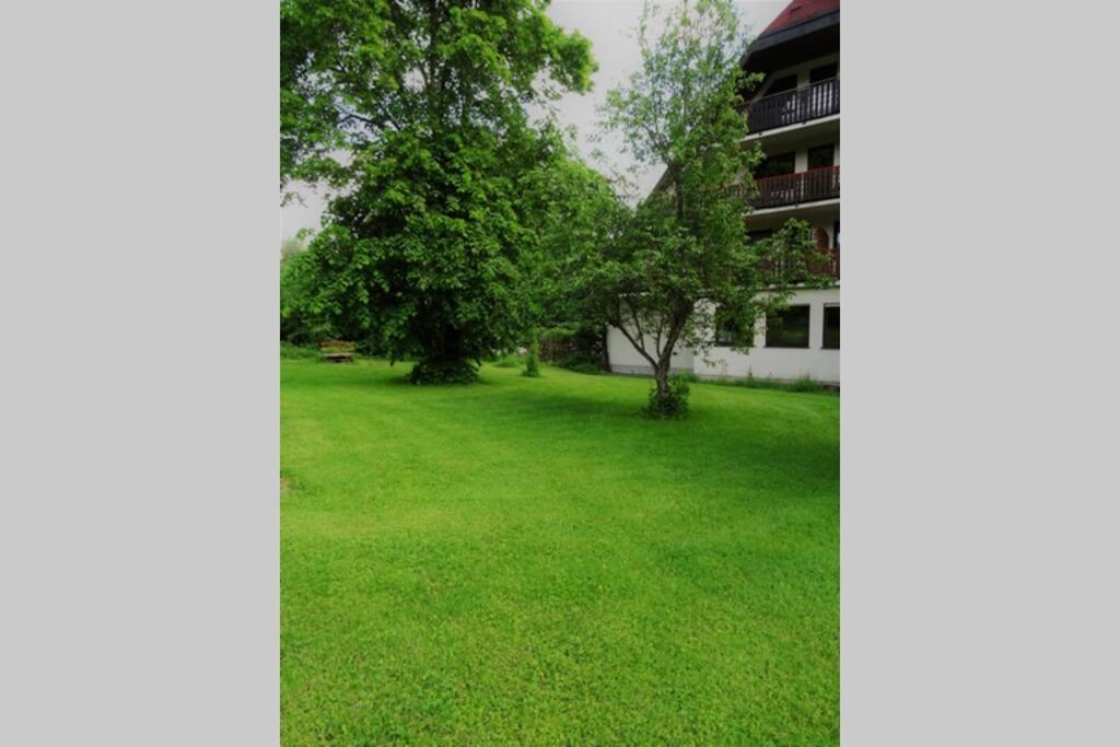 Modernes Apartment Mit Traumhaftem Blick Ins Gruene Bräunlingen エクステリア 写真