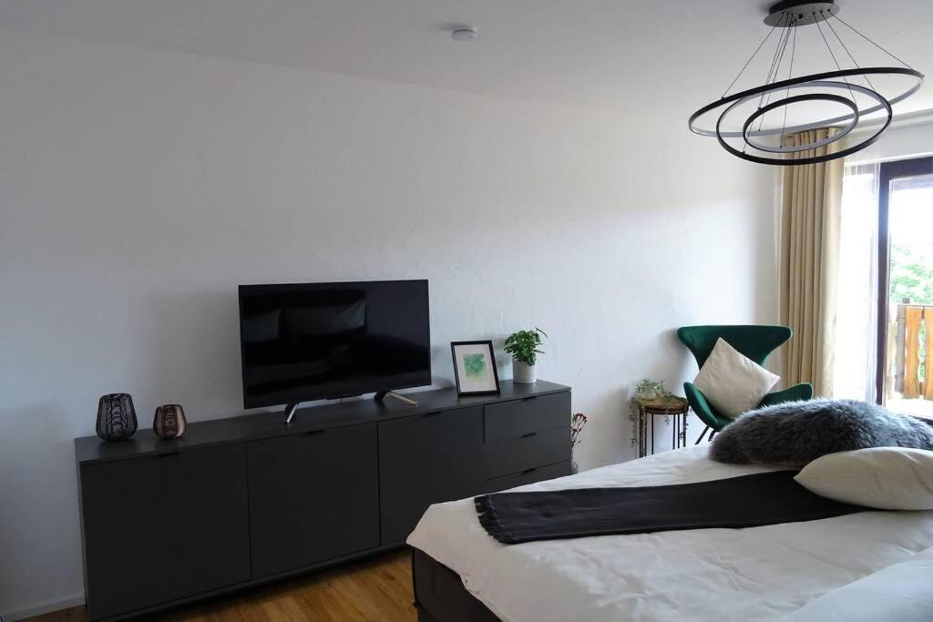 Modernes Apartment Mit Traumhaftem Blick Ins Gruene Bräunlingen エクステリア 写真